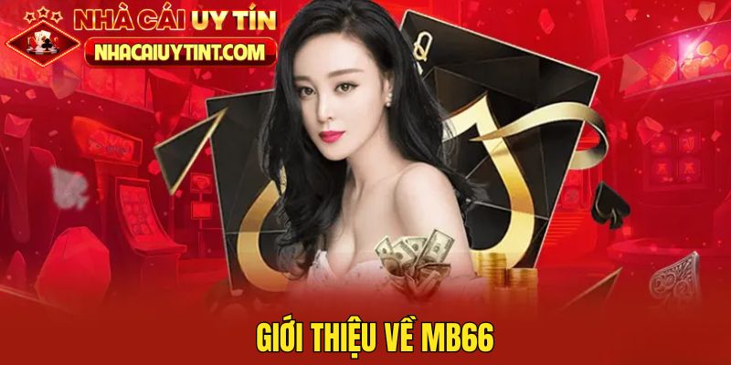 MB66 là thương hiệu đang được mọi người yêu quý nhất