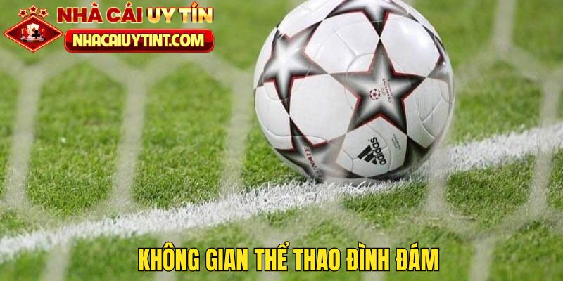 Không gian thể thao với nhiều bộ môn đình đám cùng góp mặt