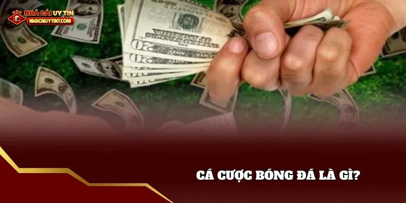 Giới thiệu cá cược bóng đá