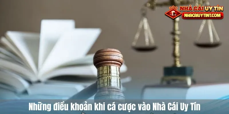 Những điều khoản khi cá cược vào nhà cái